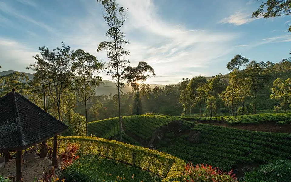 Sri Lanka